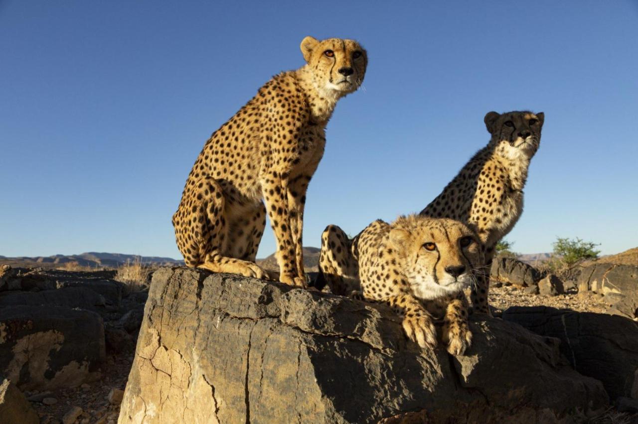ホテル Neuras Wine And Wildlife Estate ナミブ＝ナウクルフト国立公園 エクステリア 写真
